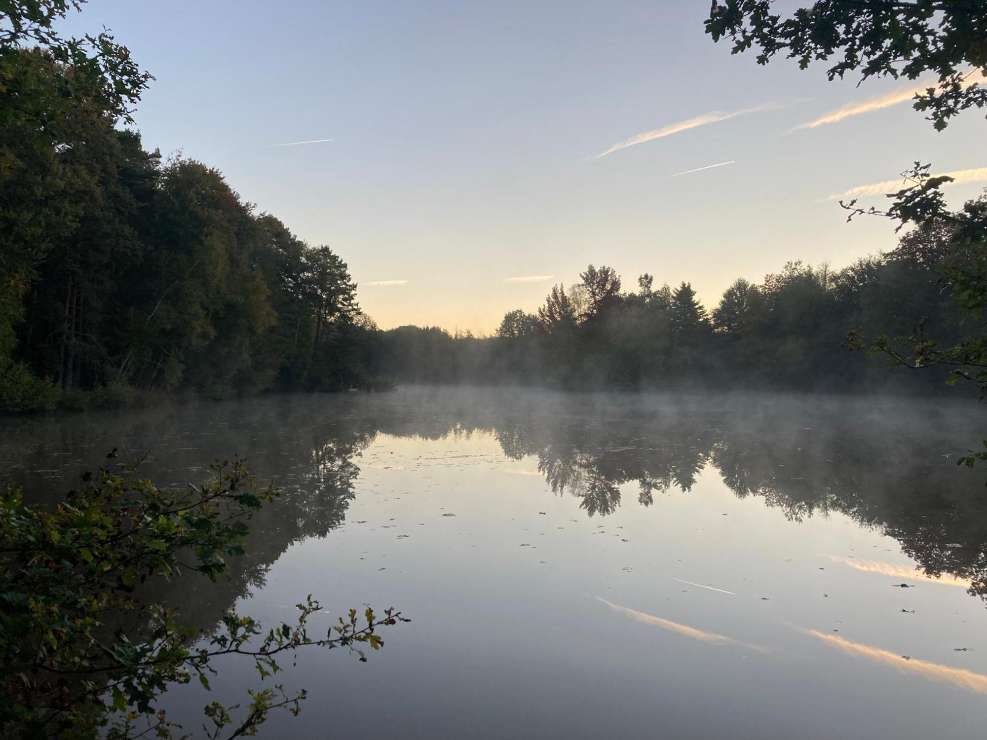 Paradis Perdu En Sologne Avec Plage Privee Villeny Esterno foto